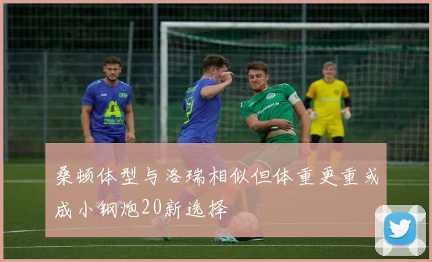 桑顿体型与洛瑞相似但体重更重或成小钢炮20新选择