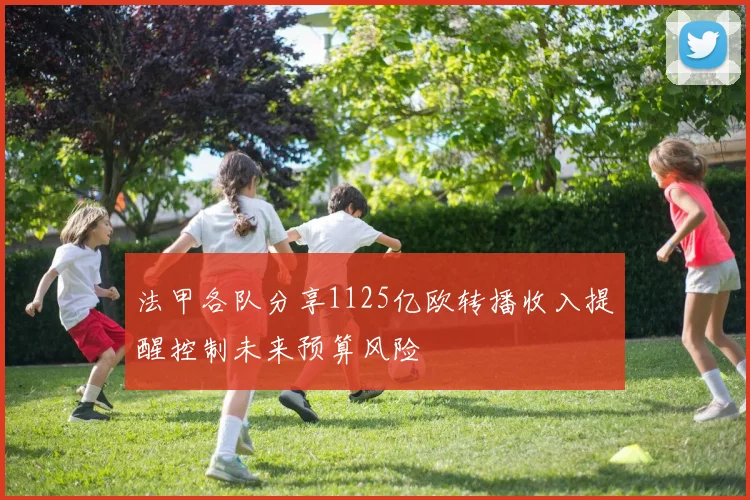 法甲各队分享1125亿欧转播收入提醒控制未来预算风险