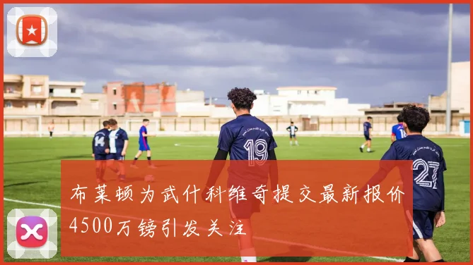 布莱顿为武什科维奇提交最新报价4500万镑引发关注